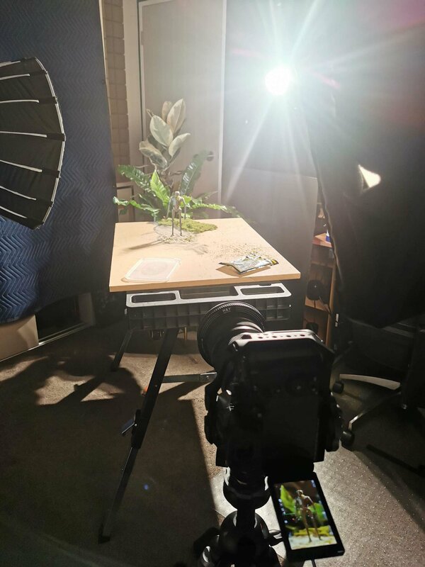 IMG_20230402_000321 copy.jpg