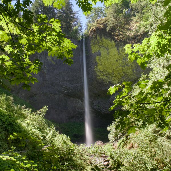 240712 PJD Latourell Falls Oregon P1000320 L-forum.jpg